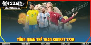 Tổng quan về sảnh thể thao sbobet 123b hấp dẫn